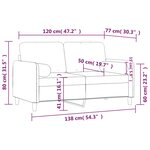 vidaXL Canapé 2 places avec oreillers décoratifs rose 120 cm velours