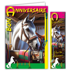 Carte Bon Anniversaire Cheval blanc dans son box avec Enveloppe 12x17 5cm Passion Chevaux Poneys Sports équestres Saut d'obstacles Dressage Cross-country Courses hippiques - Fabriqué en France