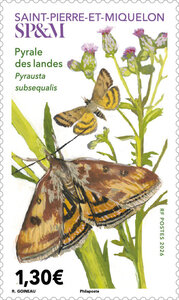 Timbre Saint Pierre et Miquelon - Pyrale des landes