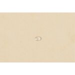 Chemise 3 rabats à élastiques carte lustrée 400g/m2 Nature Future® - A4 Ivoire EXACOMPTA