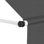 vidaXL Auvent manuel rétractable 200 cm Anthracite