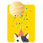 Carte de Vœux Thème Anniversaire Party Time - Plusieurs Styles - Heureux Anniversaire - Jaune - Draeger
