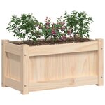 vidaXL Jardinière d'extérieur 60x31x31 cm bois de pin massif