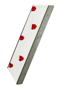 AXI Mur d'escalade pour Beach Towers