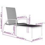 vidaXL Chaises longues avec repose-pied 2 Pièces Résine tressée Noir