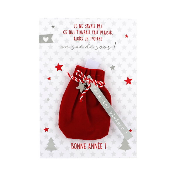 Carte de voeux - fêtes de fin d'année - bonne année - un sac de sous