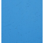Paquet De 100 Couvertures Grain Cuir Pour Reliure A4 - Bleu - Exacompta