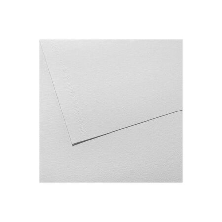 Lot de 250 feuilles 'C' à grain fin blanc naturel 50x65 180g CANSON