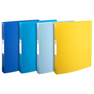 Classeur 2 Anneaux 30mm Polypropylène Recyclé Beeblue - A4 Maxi - Couleurs Assorties - X 12 - Exacompta
