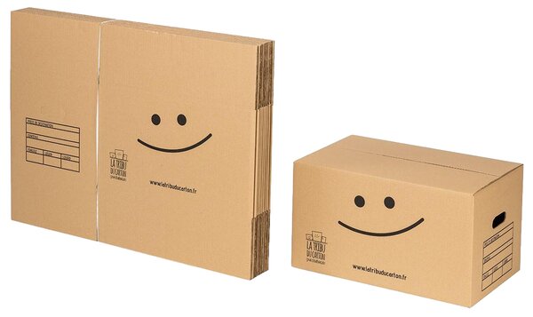 Pack 10 cartons standard avec poignées