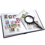 PERFECTA : Classeur fixe pour timbres (Petit modèle-Pages Blanches-32p. Bleu)
