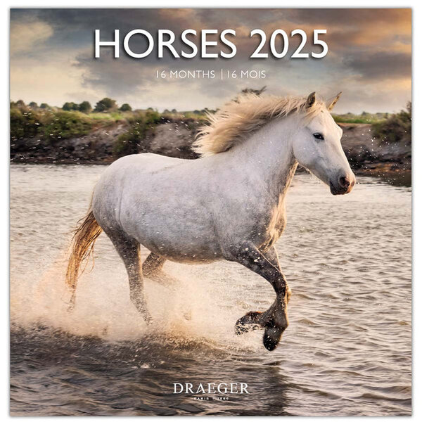 Grand Calendrier Mural 29x29 Cm - 2025 - Chevaux - Draeger paris