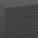 vidaXL Armoire de rangement Anthracite 42 5x35x101 5 cm Acier