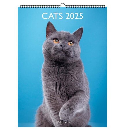 Calendrier Mural déco 29x39  cm - 2025 - Chats 2025 - Draeger