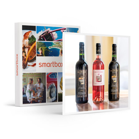 SMARTBOX - Coffret Cadeau Coffret de 6 vins rouges et clairet du pays bordelais -  Sport & Aventure