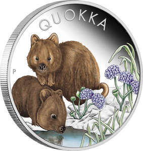 Pièce de monnaie en Argent 1 Dollar g 31.1 (1 oz) Millésime 2023 Quokka QUOKKA