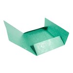 Chemise à élastiques Maxi capacity carte lustrée 425gm² Nature Future A4 Vert EXACOMPTA