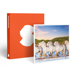 SMARTBOX - Coffret Cadeau Séjour romantique : 2 jours dans un hôtel en Camargue - Séjour