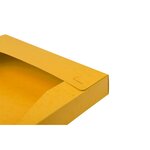 Boite De Classement Cartobox Dos 25mm Carte Lustrée - A4 - Jaune - X 25 - Exacompta