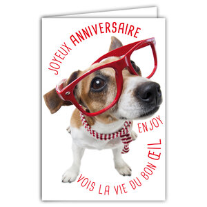 Carte Joyeux Anniversaire Humoristique avec Enveloppe Illustrée format 17 5x12cm Chien Drôle Amusant Rigolo Déguisé avec des Lunettes pour faire la Fête - Création Fabrication française 69-6203