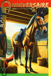 67-1278 Carte Bon ANNIVERSAIRE Fer à Cheval Porte-Bonheur en Or Doré Brillant et Enveloppe 12x17 5cm équitation hippisme club hippique équestre étalon Jument Poulain Poney écurie box selle cravache