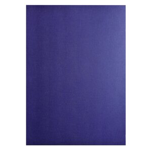 Paquet De 100 Couvertures Grain Toilé Pour Reliure A4 - Bleu Foncé - Exacompta