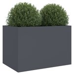 vidaXL Jardinière anthracite 62x47x46 cm acier laminé à froid