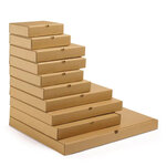 20 cartons d'emballage plats 46 x 36 x 5 cm - Simple cannelure