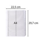 Intercalaires Imprimés À Touches Plastifiées - 50 Touches 1 À 50 - A4 - Blanc - X 4 - Exacompta