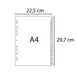 Intercalaires Imprimés Mensuels Pp Recyclé Gris - Januar-dezember(allemand) - 12 Positions - A4 - Gris - X 25 - Exacompta
