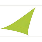 Perel Voile d'ombrage  hydrofuge  5 x 5 x 5 m  160 g/m²  polyester  triangulaire  vert lime