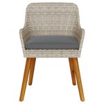 vidaXL Chaises de jardin avec coussins 2 Pièces Gris clair Rattan synthétique