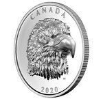 Pièce de monnaie 25 Dollars Canada Noble pygargue à tête blanche 2020 – Argent BE