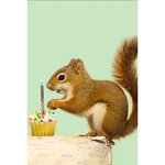 Carte De Voeux Mini - Écureuil & Bougie D'anniversaire - Draeger paris