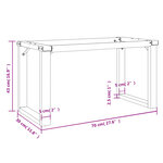 vidaXL Pieds de table basse cadre en O 70x30x43 cm fonte