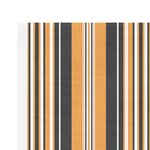 vidaXL Tissu de remplacement pour auvent rayures multicolores 4x3 5 m