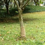 vidaXL Rouleau de jute 0 25x25 m 100   jute 200 g/m²