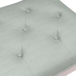 vidaXL Banc Gris clair 110x40x49 cm Velours