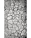 Tapis de salon PEBBLE 80 x 150 cm - Gris
