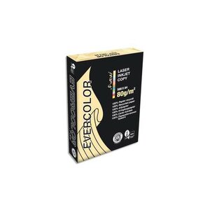 Ramette de 500 feuilles papier couleur recyclé EVERCOLOR 80gr format A4 ivoire x 5 CLAIREFONTAINE