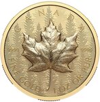 Pièce de monnaie en Argent 200 Dollars g 33.17 Millésime 2024 MAPLE LEAF