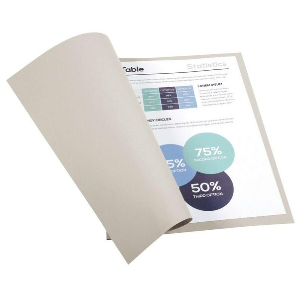 Paquet de 100 chemises 170 g EXACOMPTA gris