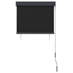 vidaXL Store roulant d'extérieur 80 x 250 cm Anthracite