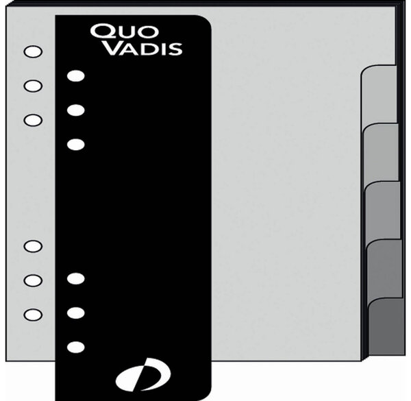 Recharge Accessoires Organiseur INTERCALAIRE+REGLE Timer 14 8 x 12 cm QUOVADIS