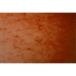 Trieur Agrafé Avec Élastiques Intérieur Noir 12 Compartiments - A4 - Orange - Exacompta