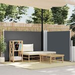vidaXL Auvent latéral rétractable Anthracite 100 x 600 cm