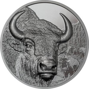 Monnaie BISON Wild Mongolia 2 Oz Argent 1000 Togrog Mongolia 2025 (PRÉCOMMANDE)