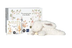 Ma première pièce Coffret : Monnaie de 5€ Argent BE colorisée + doudou