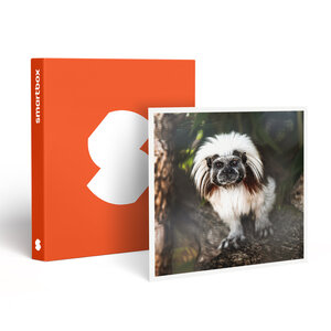 SMARTBOX - Coffret Cadeau Tanière Zoo Refuge : immersion avec les herbivores pour 2 personnes - Multi-thèmes