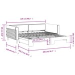 vidaXL Lit de jour avec lit gigogne rose 100x200 cm velours